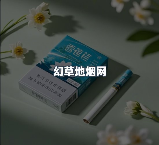 关于幻草地烟网